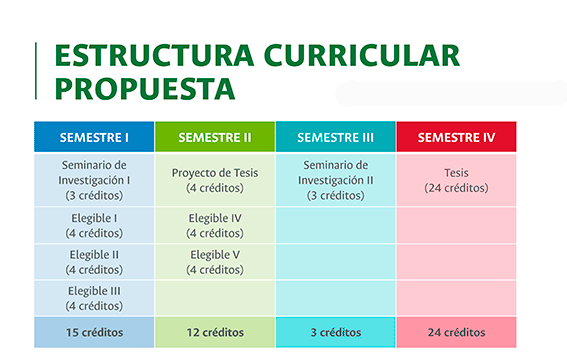 PMAD - Investigación - Estructura curricular