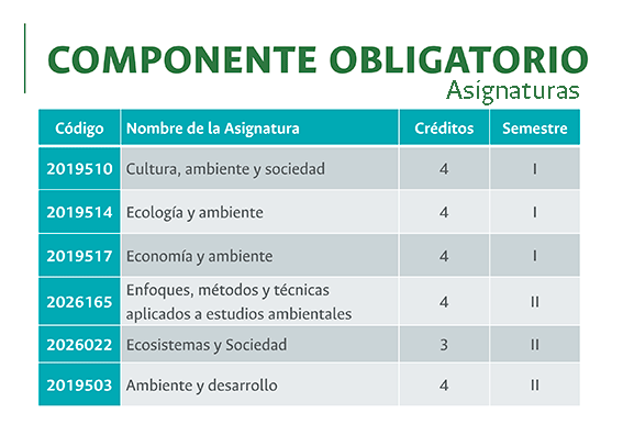 PMAD - Profundización - Componente obligatorio asignaturas