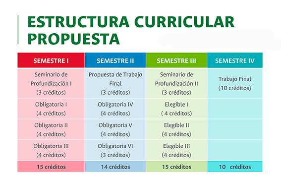 PMAD - Profundización - Estructura curricular